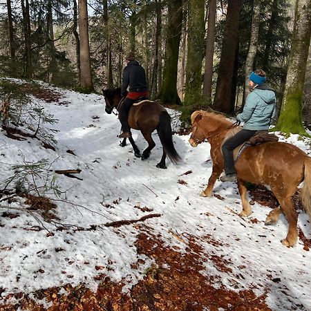 Winkelhof Leilighet Oberstdorf Eksteriør bilde