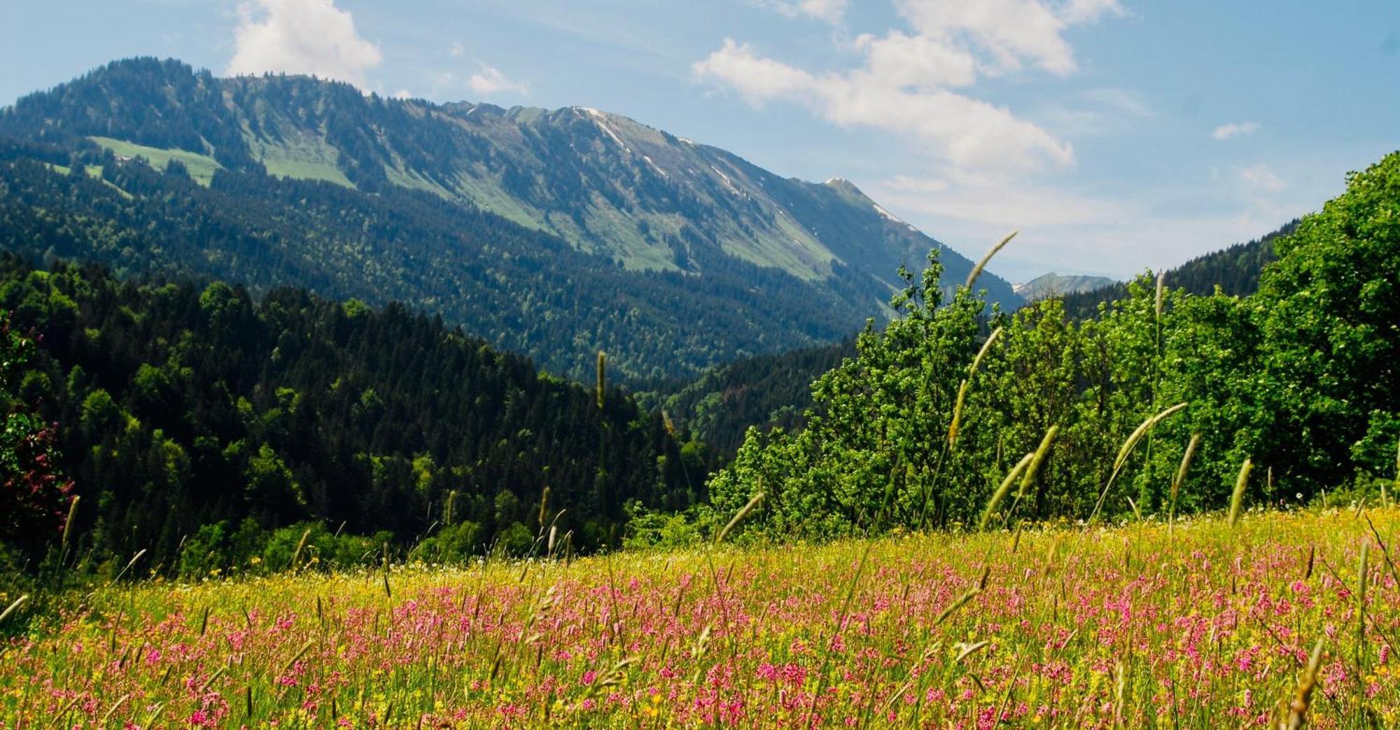 Winkelhof Leilighet Oberstdorf Eksteriør bilde