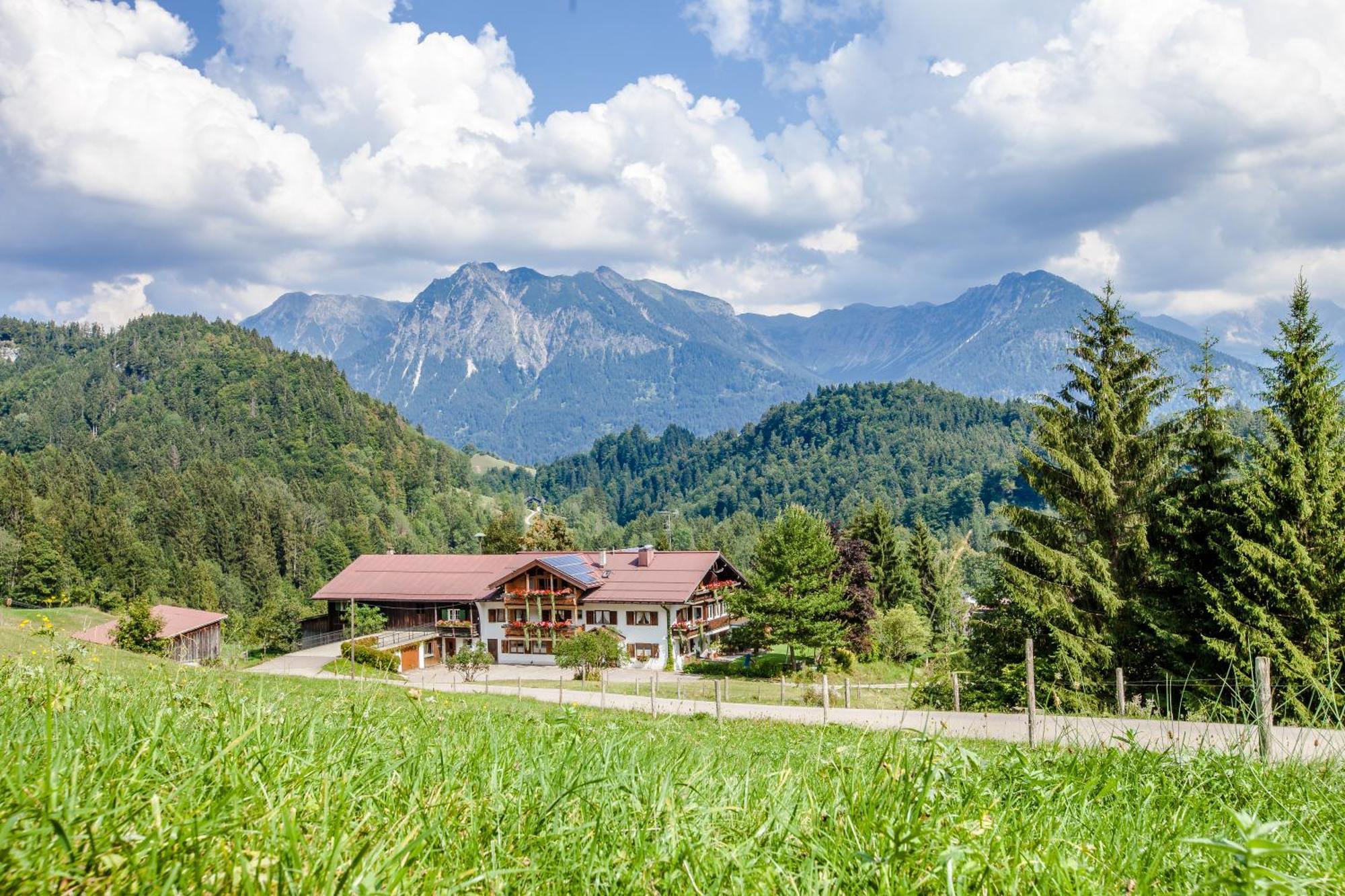 Winkelhof Leilighet Oberstdorf Eksteriør bilde